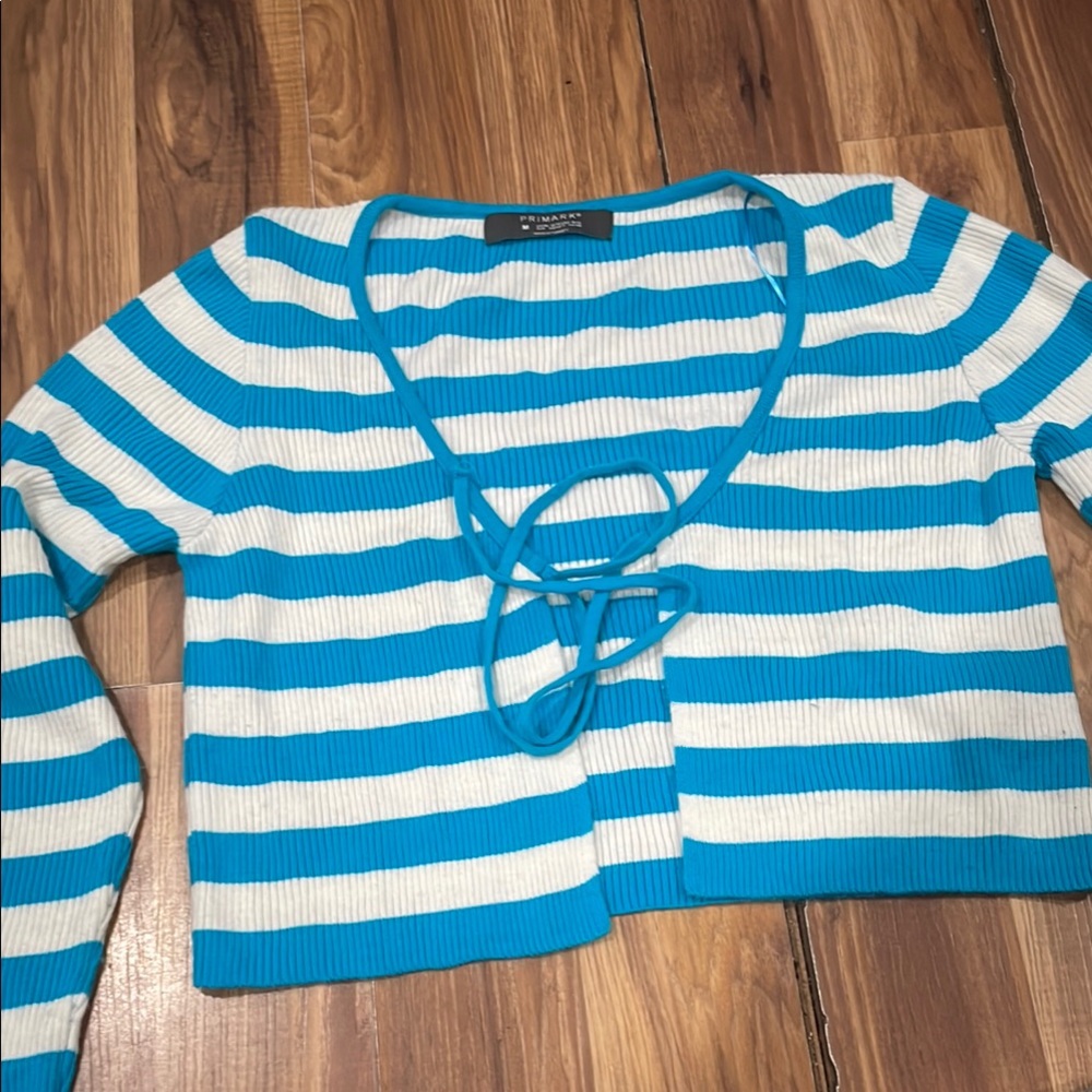 Striped Blue and White Women's Top